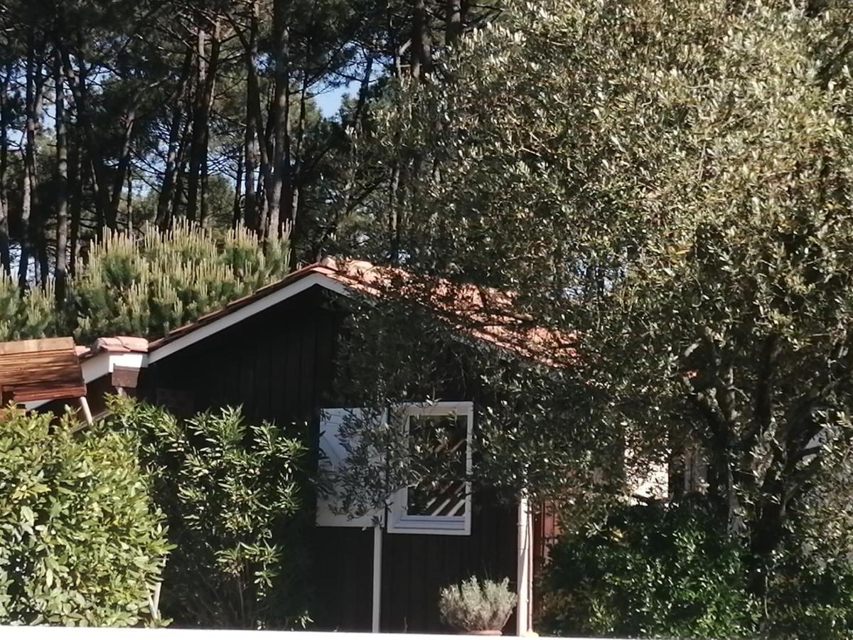 Maison Familiale En Bois Avec Piscine, Proche Du Bassin Gujan-Mestras Bagian luar foto